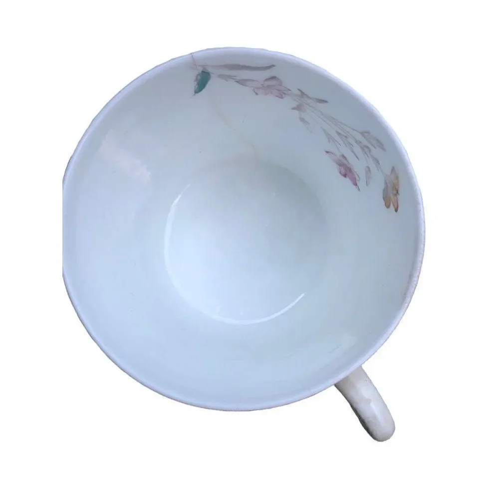 Antique W.A.A. William A Adderley bone China cup and saucer  THORN Birds